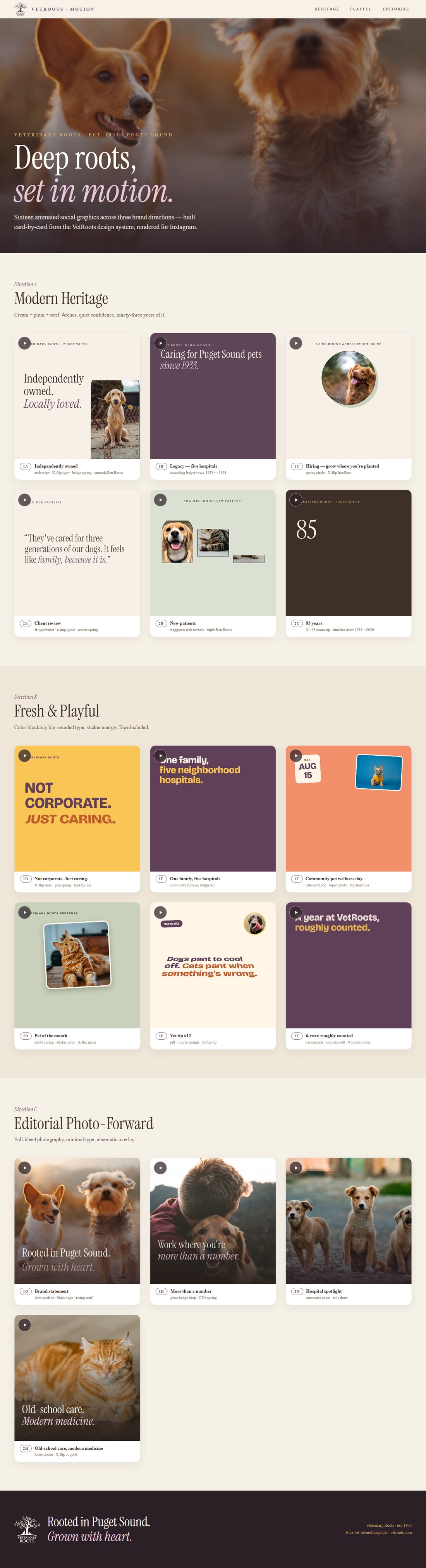 Sixteen animated social graphics created for Veterinary Roots